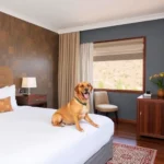 Hotel Condesa En Zacatecas - Hotel Pet Friendly en Zacatecas