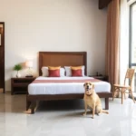 Hotel Convento Actopan - Hotel Pet Friendly en Actopan