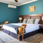 Hotel Costa Club - Hotel Pet Friendly en Progreso