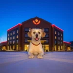 Hotel Crowne Plaza Durango - Hotel Pet Friendly en Durango