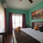 Hotel Dehesa Las Chelitas - Hotel Pet Friendly en Balancán