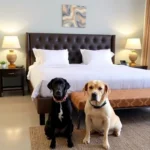Hotel Du Monde - Hotel Pet Friendly en San Felipe