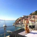 Hotel Dubrovnik - Hotel Pet Friendly en Mérida