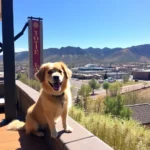 Hotel Durango - Hotel Pet Friendly en Durango