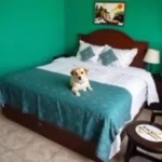 Hotel Economico 160 Pesos - Hotel Pet Friendly en Veracruz