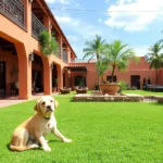 Hotel El Cortes - Hotel Pet Friendly en Aguascalientes