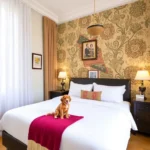 Hotel El Descanso Puebla Catedral - Hotel Pet Friendly en Heroica Puebla de Zaragoza