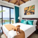 Hotel El Marques - Hotel Pet Friendly en Mérida
