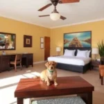 Hotel Escondido Oaxaca - Hotel Pet Friendly en Oaxaca de Juárez