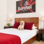 Hotel Eurotel Saltillo - Hotel Pet Friendly en Saltillo