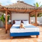 Hotel Hacienda Blue Bay - Hotel Pet Friendly en Mazatlán