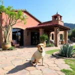 Hotel Hacienda Los Nogales - Hotel Pet Friendly en Bustamante