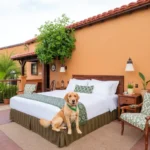 Hotel Hacienda Montesinos - Hotel Pet Friendly en Morelia