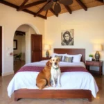 Hotel Hacienda San José - Hotel Pet Friendly en La Paz