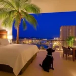 Hotel Holiday Inn Tuxpan Convention Center - Hotel Pet Friendly en Túxpam de Rodríguez Cano