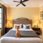 Hotel Isabel Único - Hotel Pet Friendly en Heroica Puebla de Zaragoza