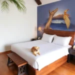 Hotel Kayám - Hotel Pet Friendly en Tecolutla
