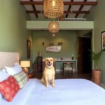 Hotel La China - Hotel Pet Friendly en Tecolutla