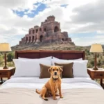 Hotel La Finca Del Minero - Hotel Pet Friendly en Zacatecas