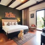 Hotel La Fuente - Hotel Pet Friendly en Zacatecas