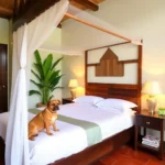 Hotel La Hacienda - Hotel Pet Friendly en Tuxtla Gutiérrez