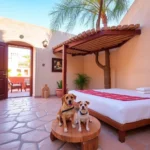 Hotel La Mina - Hotel Pet Friendly en Zacatecas