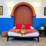 Hotel La Purificadora - Hotel Pet Friendly en Heroica Puebla de Zaragoza