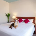 Hotel La Venta Inn Villahermosa - Hotel Pet Friendly en Villahermosa