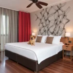 Hotel Lois Veracruz - Hotel Pet Friendly en Boca del Río
