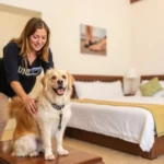 Hotel Luna Inn - Hotel Pet Friendly en Altamira