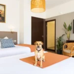 Hotel Mansión Arechiga - Hotel Pet Friendly en Zacatecas