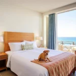 Hotel Marea Baja - Hotel Pet Friendly en San Felipe
