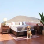Hotel María Benita - Hotel Pet Friendly en Zacatecas