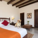 Hotel Maria Del Rocio - Hotel Pet Friendly en Veracruz