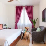 Hotel Marionetas - Hotel Pet Friendly en Mérida