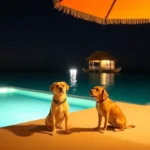 Hotel Marítimo - Hotel Pet Friendly en Veracruz
