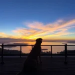 Hotel Mirador Del Lago - Hotel Pet Friendly en Pátzcuaro