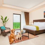 Hotel Misión Express Merida Altabrisa - Hotel Pet Friendly en Mérida