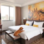 Hotel Misión Puebla Angelópolis - Hotel Pet Friendly en Heroica Puebla de Zaragoza