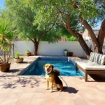 Hotel Misión Torreón - Hotel Pet Friendly en Torreón