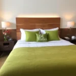 Hotel Mónaco - Hotel Pet Friendly en Veracruz