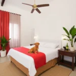 Hotel Nardazul Casa De Sueños - Hotel Pet Friendly en Oaxaca de Juárez