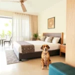 Hotel Ocampo - Hotel Pet Friendly en Oaxtepec