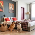 Hotel Plaza Bicentenario - Hotel Pet Friendly en Zacatecas