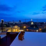 Hotel Plaza Poblana - Hotel Pet Friendly en Heroica Puebla de Zaragoza