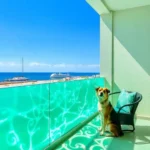 Hotel Porto Novo - Hotel Pet Friendly en Veracruz