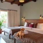 Hotel Posada Del Carmen - Hotel Pet Friendly en Zacatecas