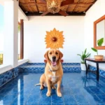 Hotel Posada Del Sol - Hotel Pet Friendly en Heroica Matamoros