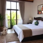 Hotel Posada Don Mario - Hotel Pet Friendly en Oaxaca de Juárez