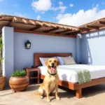 Hotel Posada Mirador - Hotel Pet Friendly en Guadalajara